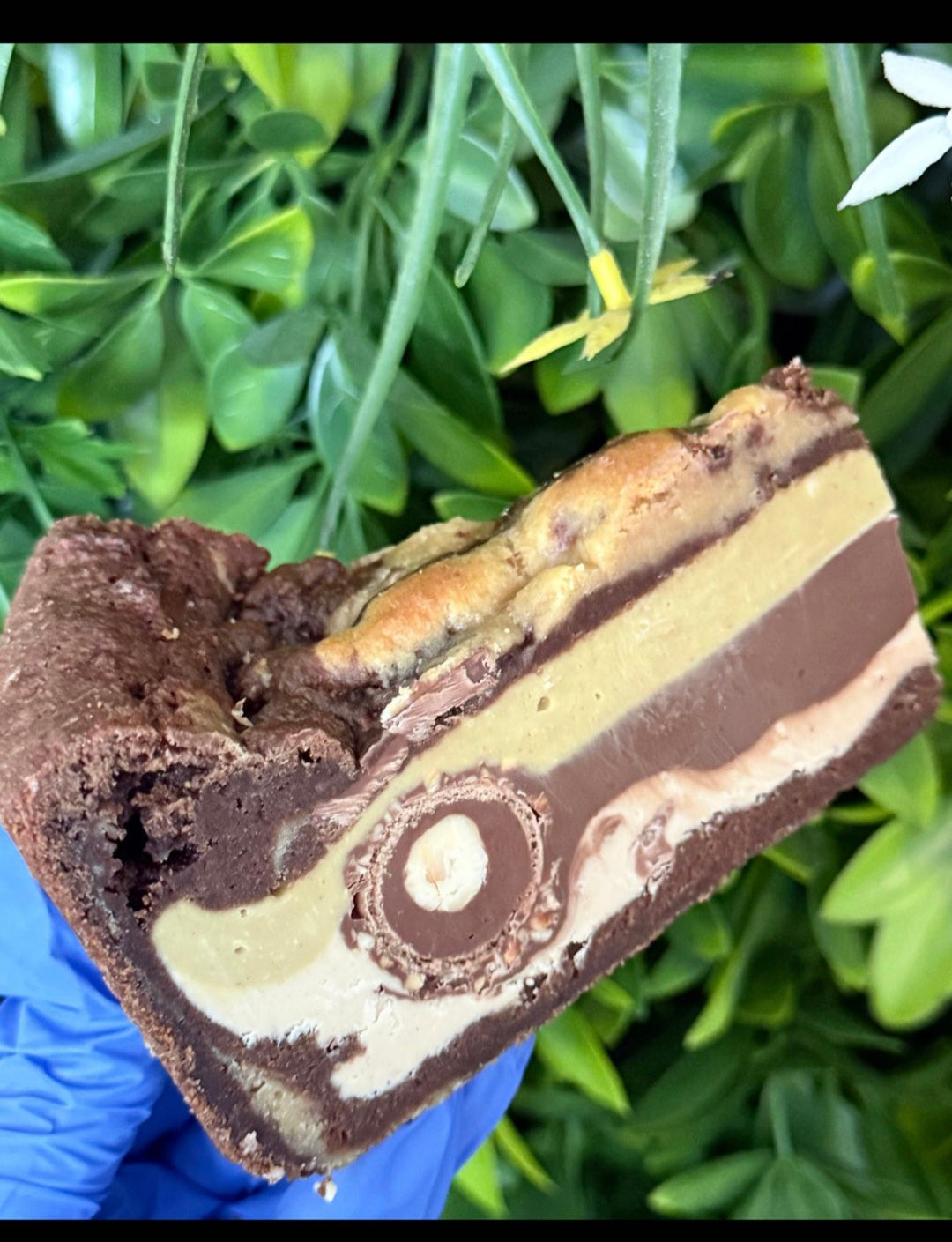 Ferror Roche, Pistachio and Nutella cookie pie